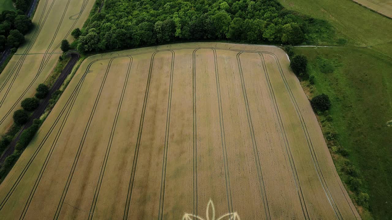 círculo de cultivo misterioso con diseño de pétalos de flores en tierras de cultivo, warminster, reino unido