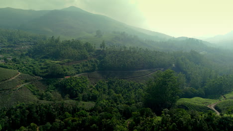 Panoramic-beautiful-misty-tea-plantation-world-class-top-tea-plantations-in-the-hills-of-Munnar,-Kerala,-India