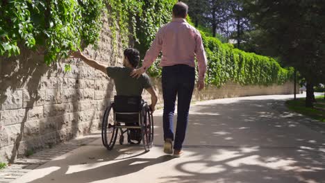 the young man in the wheelchair walking in the spring park and the mature man accompanying him.