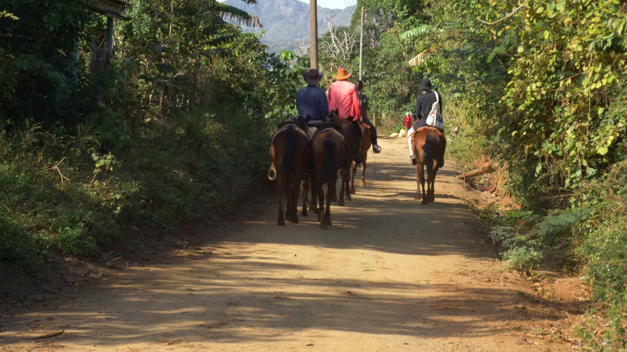 People riding horses on a dirt road through a lush rural landscape