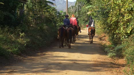 People riding horses on a dirt road through a lush rural landscape