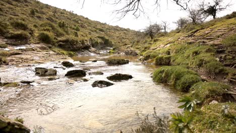 río nervion cerca de su cascada