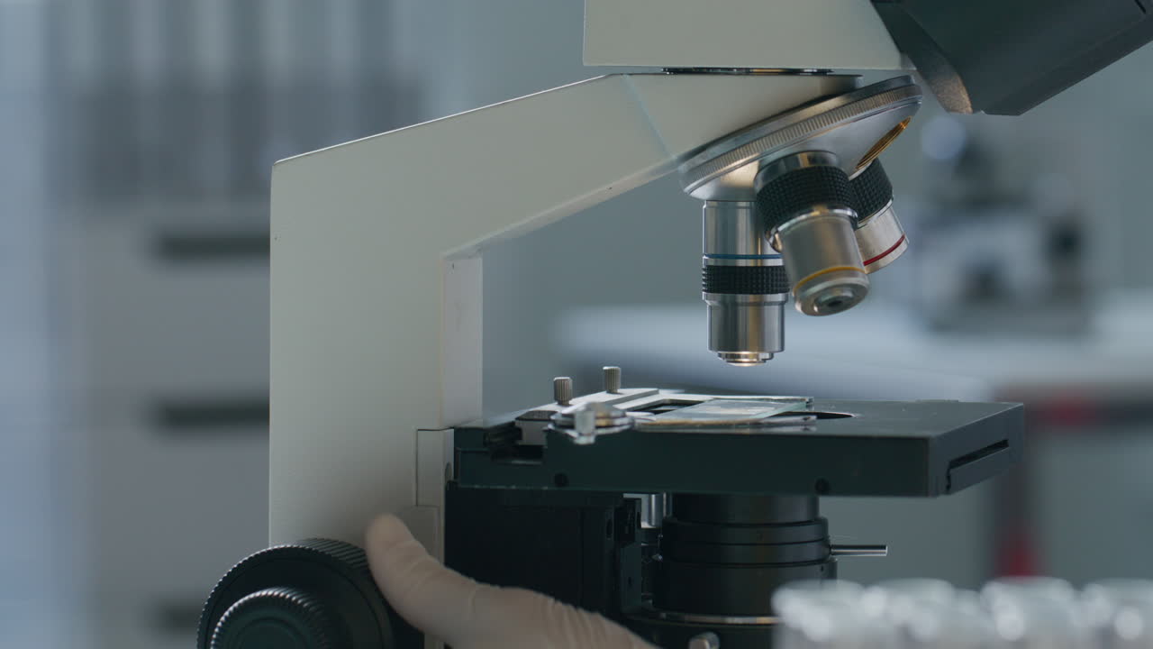 Gloved Hand of Lab Scientist Adjusting Microscope during Examination