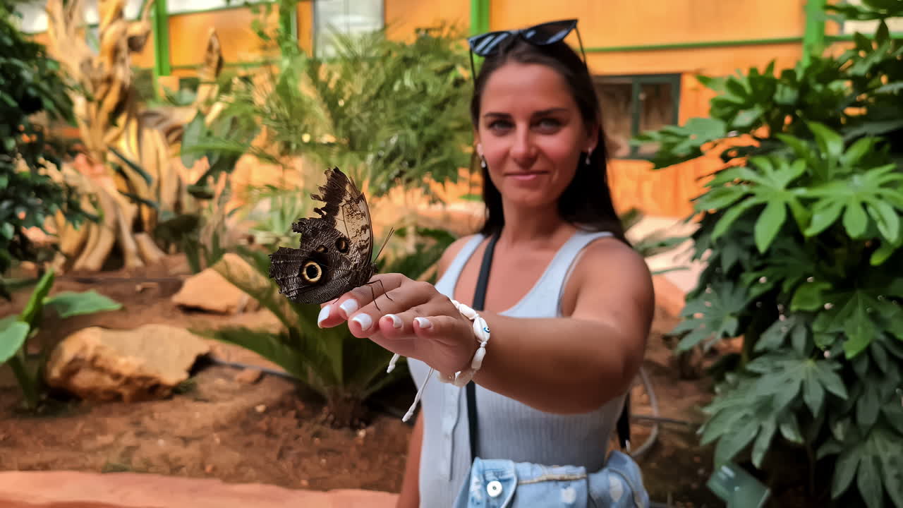 Farfalla morfo blu Menelao posata sulla mano di una bella donna.