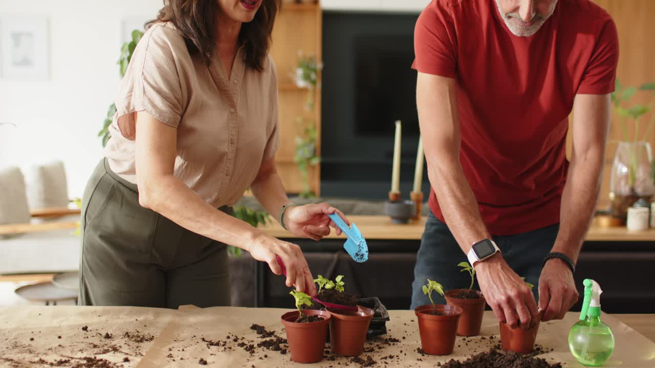 Casal começando a pegar terra vegetal com pazinhas azuis e rosas, plantando mudas em vasos de terracota.