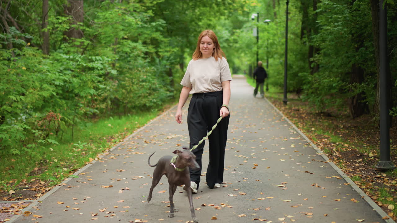 Female Smiling As She Walks Her Pet Confidently, Friendly Woman With Leash Enjoying Sunny Outdoor Walk, White Woman With Bright Smile Confidently Walks Her Dog Through Lush Greenery