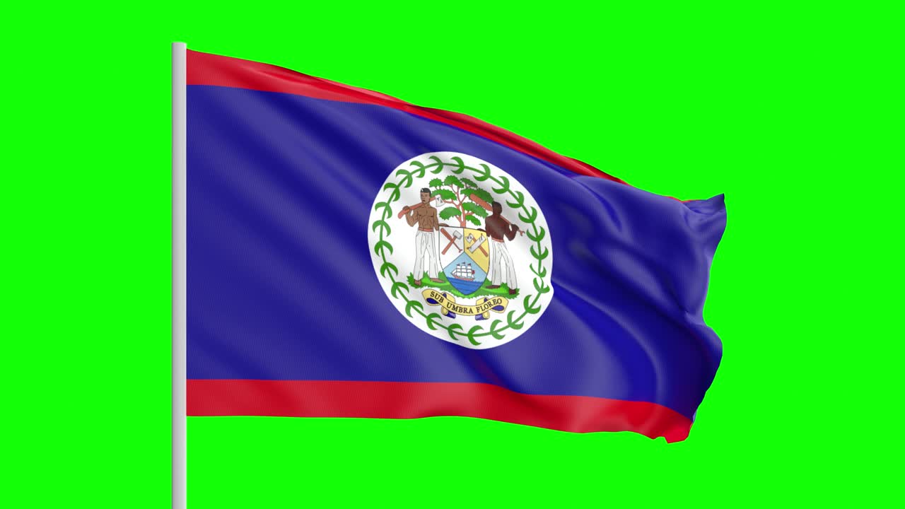 Bandeira Nacional de Belize Tremulando ao Vento em Tela Verde Com Canal Alpha