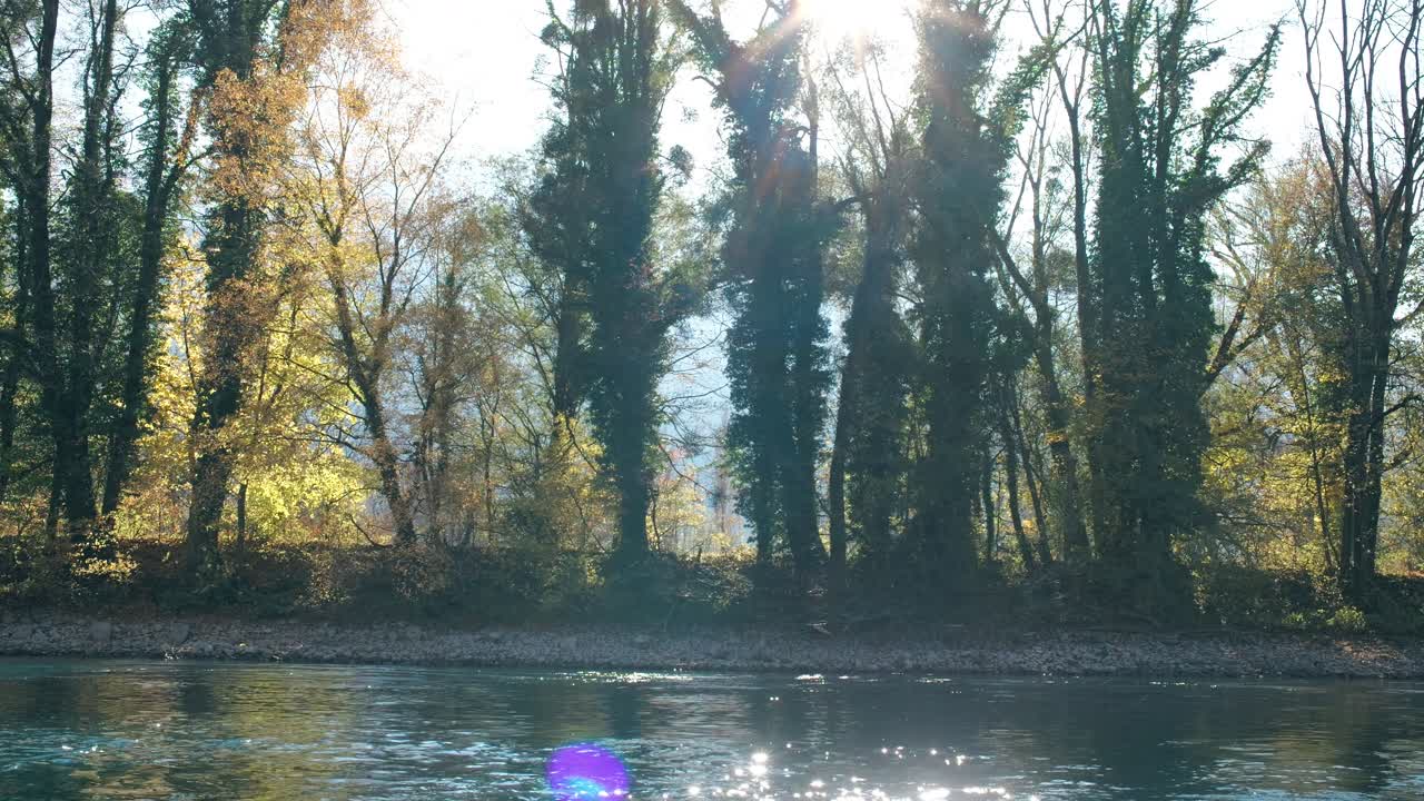 스위스 발렌슈타트 (walenstadt) 의 발렌세 (walensee) 해안가에 있는 나무들을 가로질러 아오르는 가을 빛