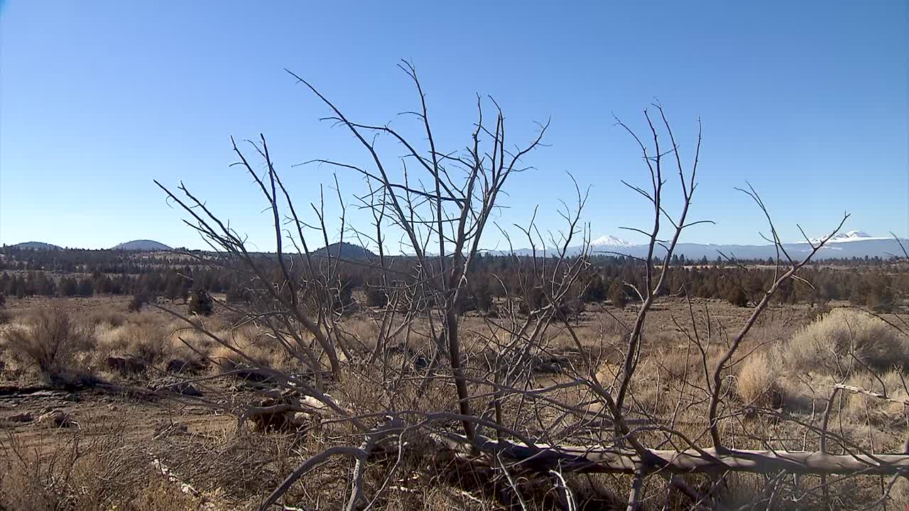 오리건 주 벤드 근처의 아무데도 없는 곳에서 열린 필드
