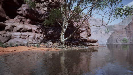 rocks of colorado river with trees