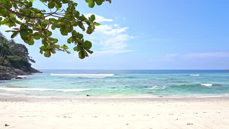 Einsamer-Tropischer-Strand-Mit-Einem-Ast