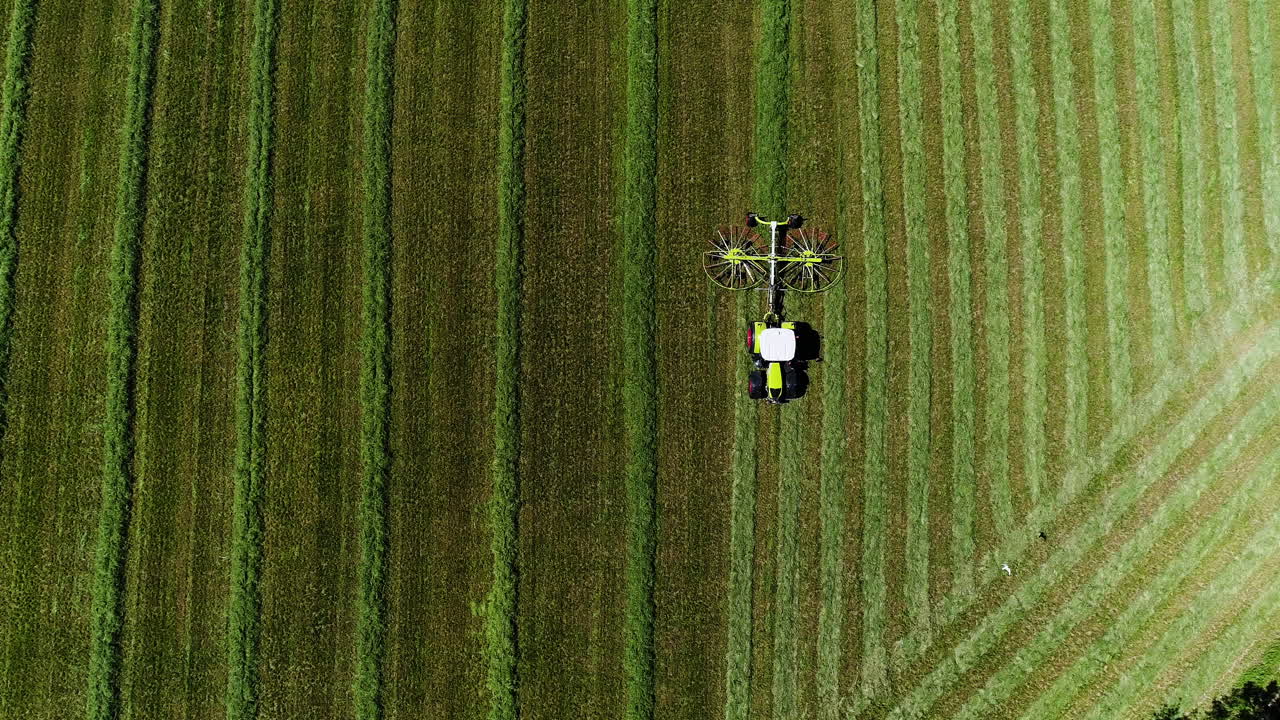 toma de un dron aéreo súper ancho acercando un tractor con un equipo giratorio recogiendo hierba cortada seca en un gran campo verde