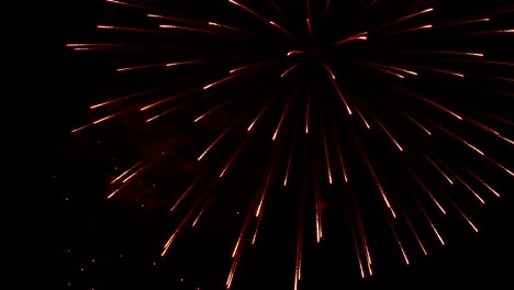 the fireworks in the night sky