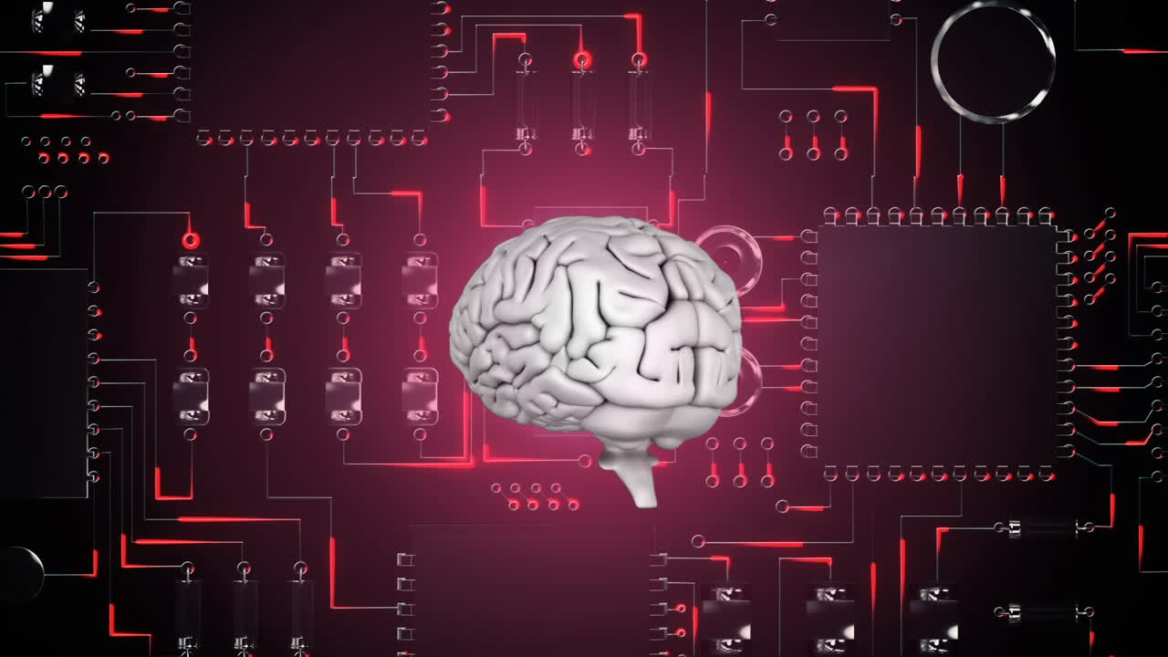 Brain and digital circuit