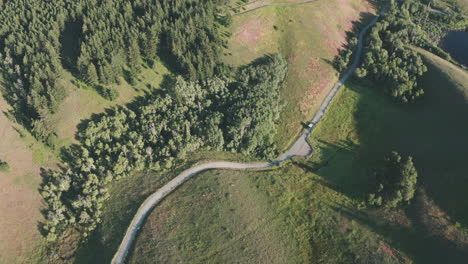 Vogelperspektive-Des-Fahrzeugs,-Das-Auf-Kurvenreicher-Unbefestigter-Straße-Durch-Gras-Und-Bäume-Fährt