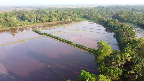 agriculture in south india, field edges, land prepared for cultivation ,the field has been plowed and watered for cultivation, rice fields in asia , high angle shot , aerial shoot