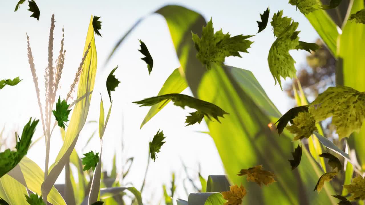 잔디 위에 떨어지는 가을 잎의 애니메이션