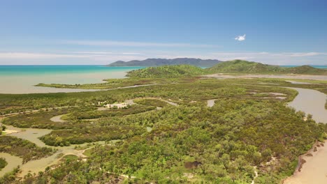 overflight of tropical mangrove swamp with creeks and island background, townsville