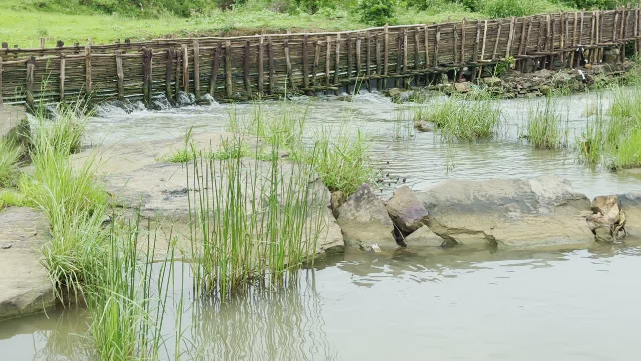 A natural landscape featuring a small, rustic dam or weir constructed from natural materials like wood and bamboo, spanning across a clear, gently flowing river or stream