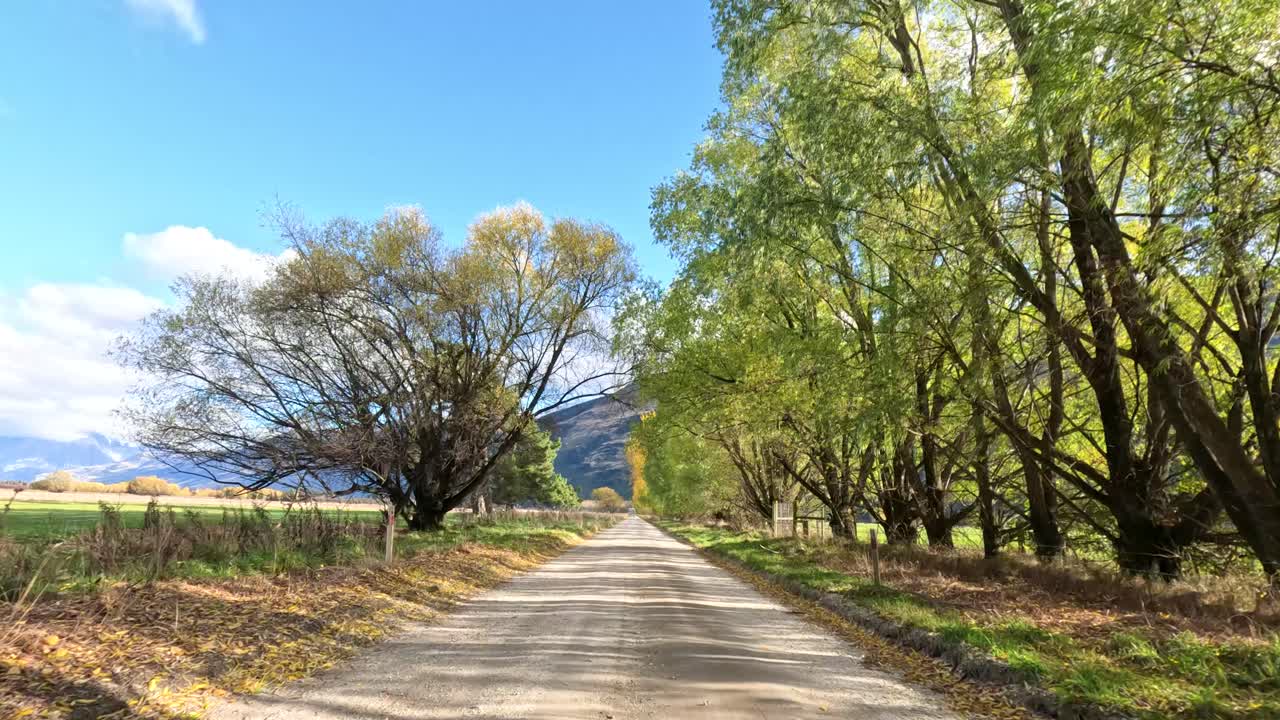 Forward-moving car view along rural road, lush green trees, bright daylight, clear blue sky