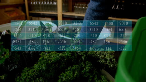 Animación-Del-Procesamiento-De-Datos-En-La-Mesa-Sobre-Un-Hombre-Caucásico-Recogiendo-Verduras