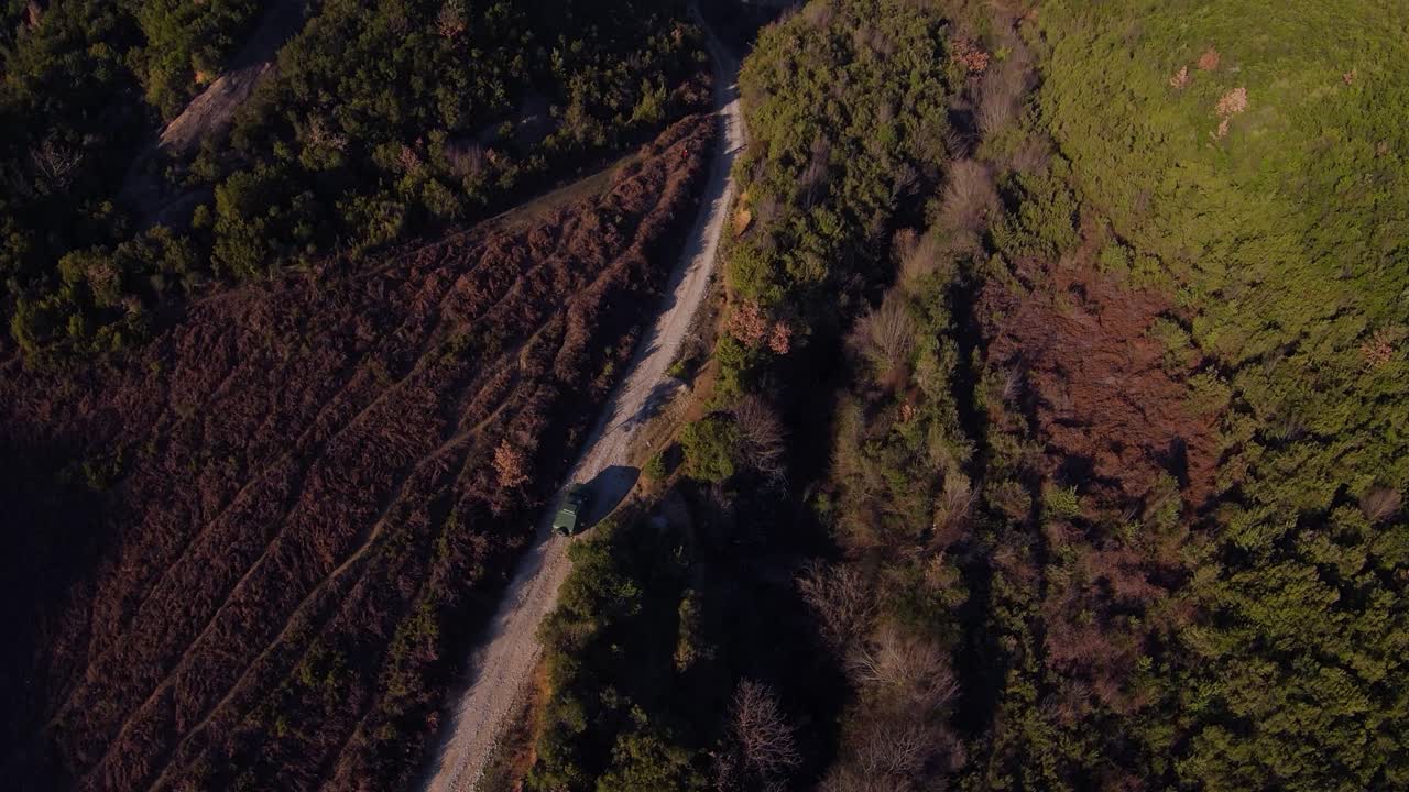 Auto da rally verde che sfreccia velocemente su una strada forestale durante un giro cronometrato
