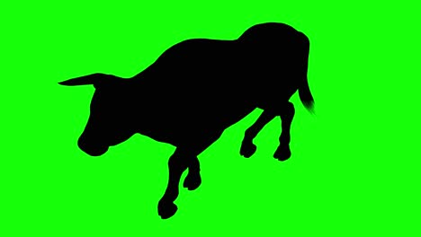 Silhouette-of-a-bull-walking,-on-green-screen,-perspective-view