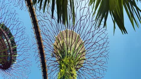 supertrees behind palm tree leaves in clear blue sky background