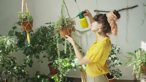 woman taking care of plants at home