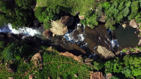 No-Puedo-Evitar-Adorar-La-Naturaleza.