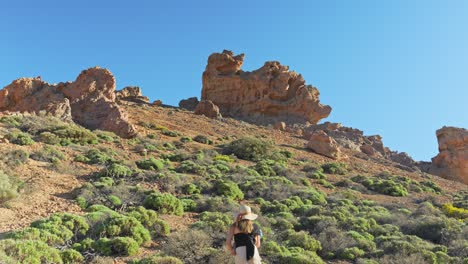 Toma-Amplia-Trasera-De-Una-Mujer-Escalando-Un-Paisaje-Desértico-Rocoso-Del-Parque-Nacional-Del-Teide