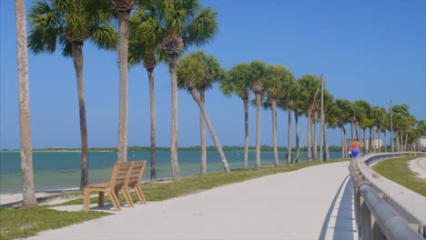 walking trail along the dunedin causeway in florida