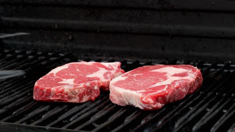 two raw rib-eye steaks cooking on a grill