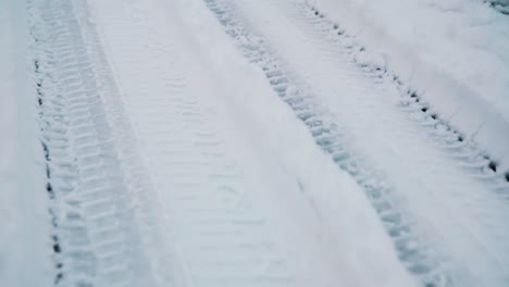 varias huellas de neumáticos en la nieve