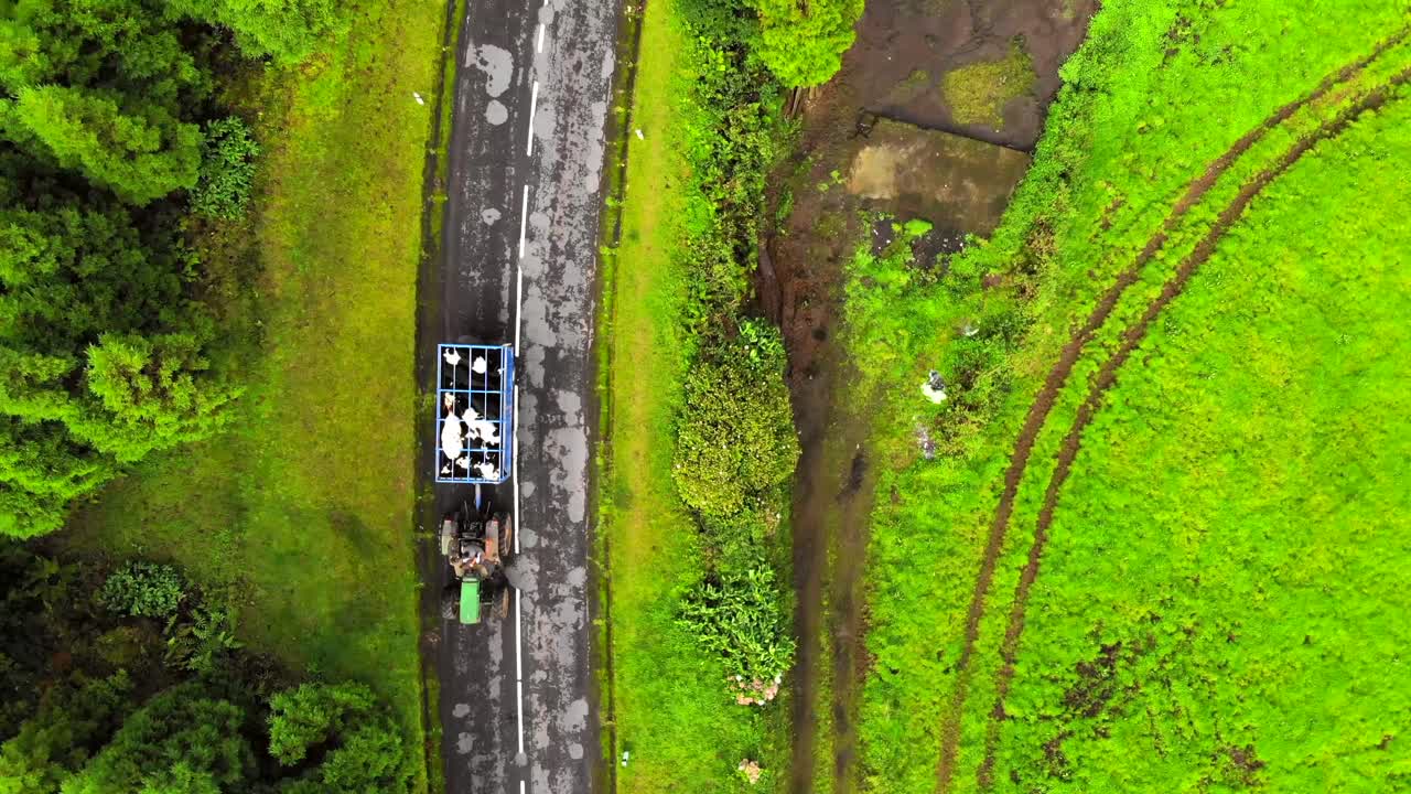 imagen aérea de un tractor que transporta vacas en un entorno agrícola