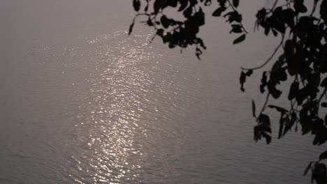 the sunset light is shimmering on the river.