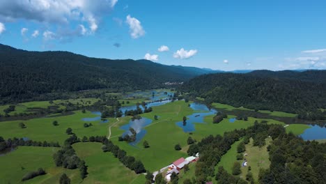 flooded wetland, picturesque european green landscape on a summer day, drone