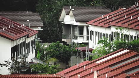 peaceful and quiet residential area_windy_morning view_50fps