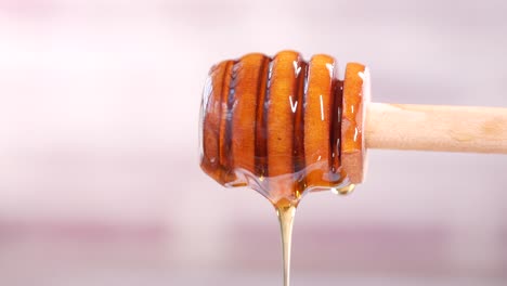 honey dripping from a honey dipper