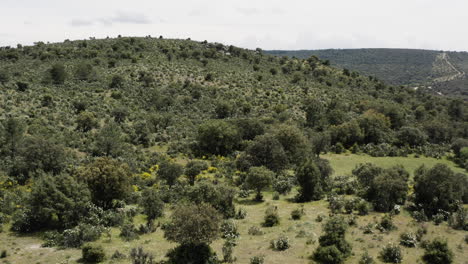 low lying foothills around the sierra de guadarrama near manzanares el real in spain