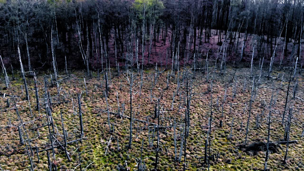 폴란드 루블레보 (lublewo) 에 있는 버 산 보호구역