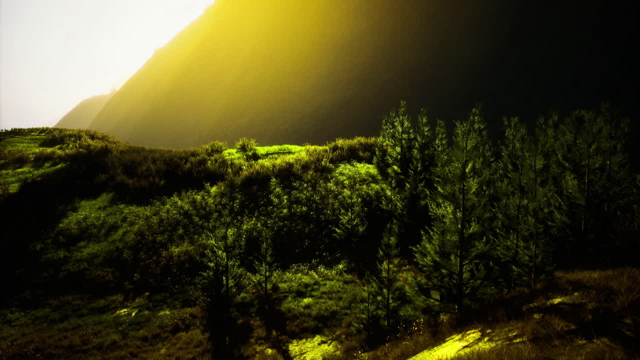 Morning sunlight illuminates a lush green landscape in a serene valley