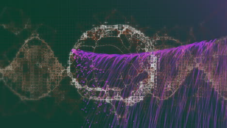Animation of brain and spots on black background