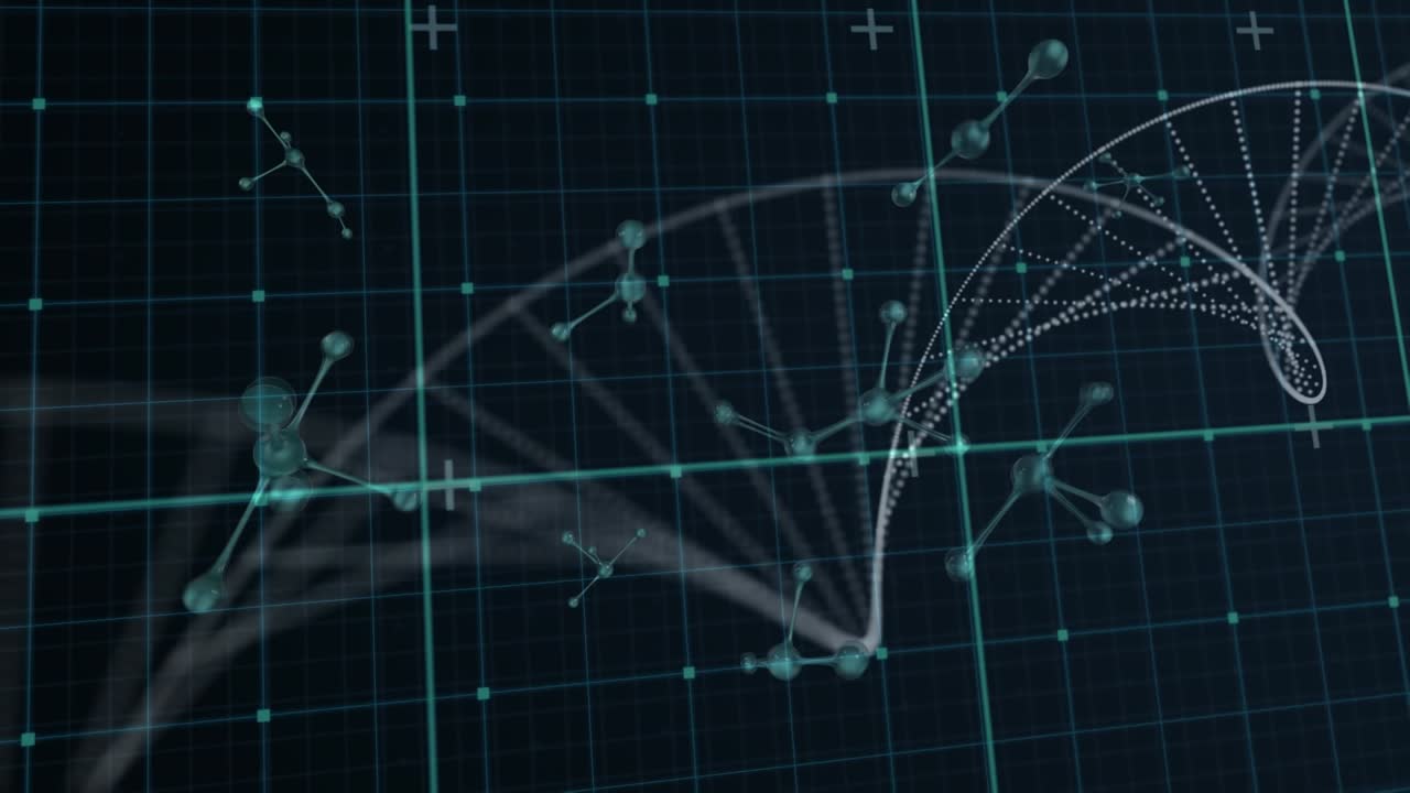 Animation of network of connections and diverse data in digital space