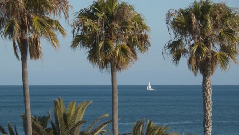 Una-Vista-Al-Mar-Con-Una-Vela-Blanca