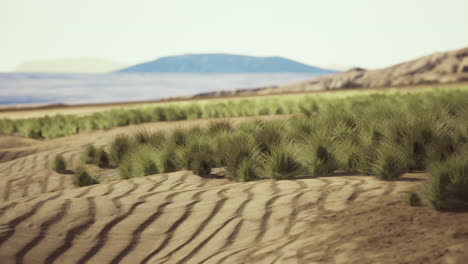 desert landscape in crater national park