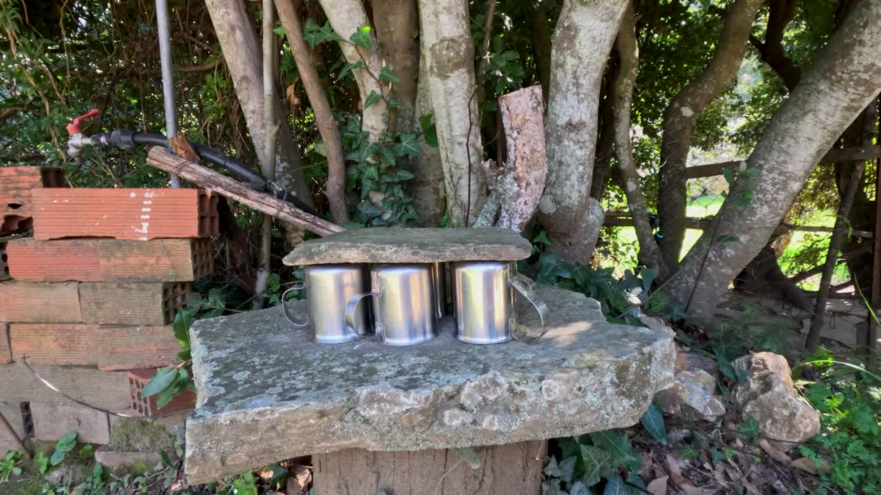 Tre coppe di metallo sono posizionate su una lastra di pietra. Sono collocate in un giardino ricco di alberi e piante. Il sole splende caldamente sulla scena. La natura circonda l'area.