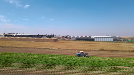 tractor en el campo de repollo en sdot negev israel