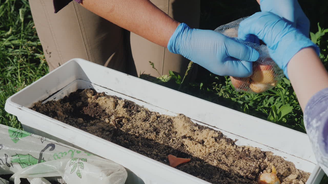 abuela y nieta juntan flores en el patio concepto de personas mayores activas
