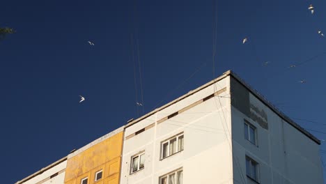 edificio residencial construido en el período soviético y renovado, los pájaros vuelan